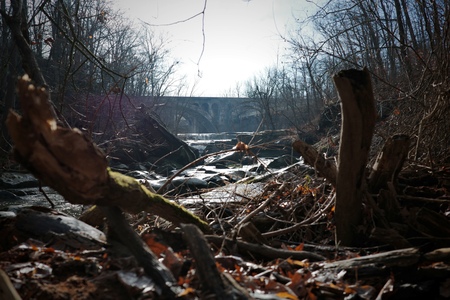 A stone railroad bridge beyond forest debris and a river.