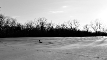 A park bench nearly buried in the snow.